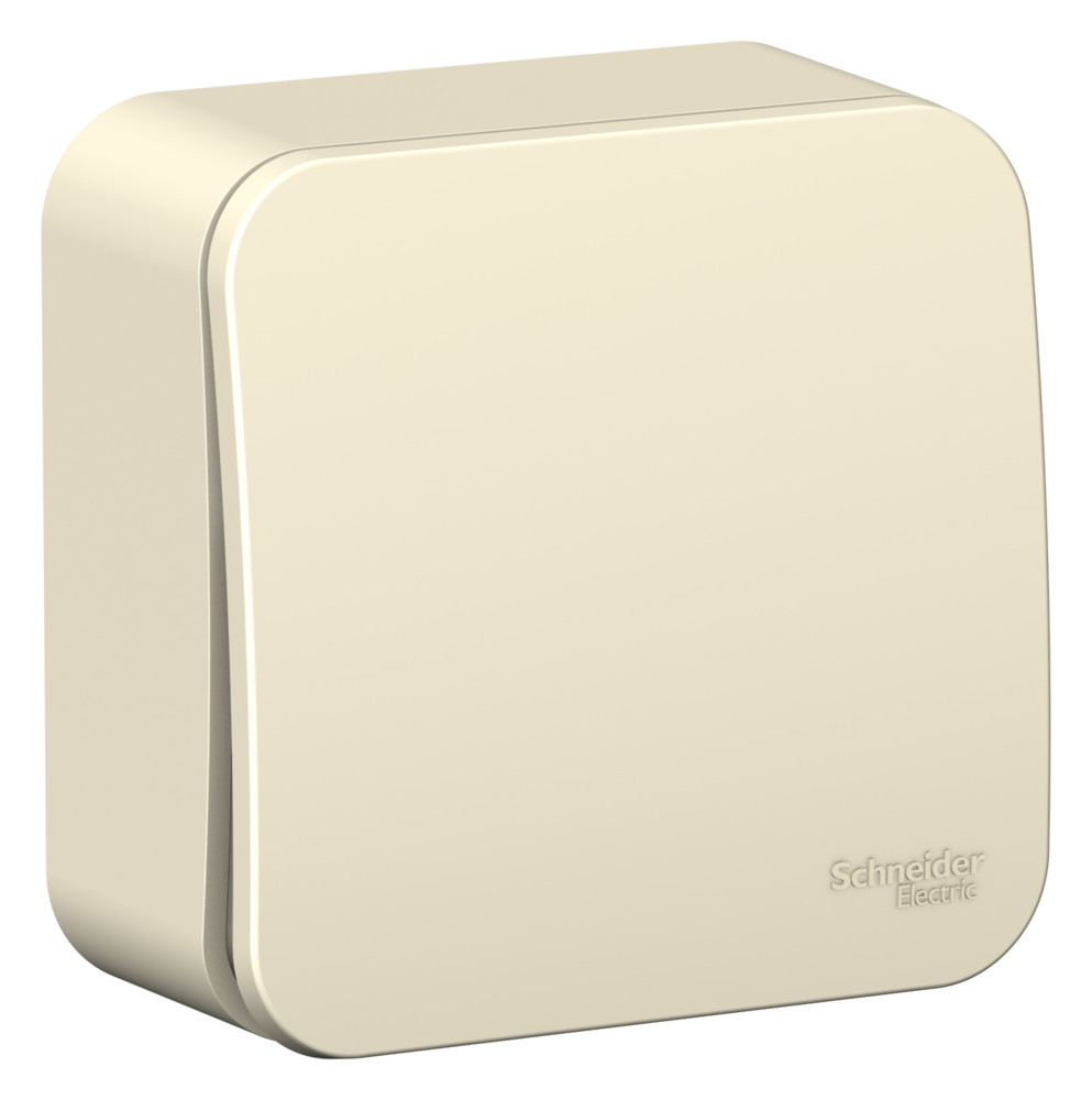 Systeme Electric Blanca наруж Молочный Выключатель 1-клавишный, 10А, 250B