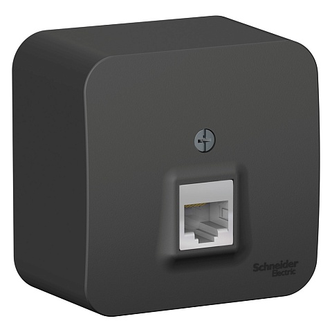 Systeme Electric Blanca наруж Антрацит Розетка компьютерная RJ45, кат.5E, изолир. пластина