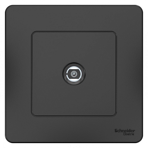 Systeme Electric Blanca внутр Антрацит Розетка TV