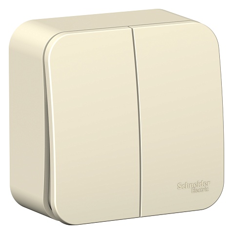 Systeme Electric Blanca наруж Молочный Выключатель 2-клавишный, 10А, 250B