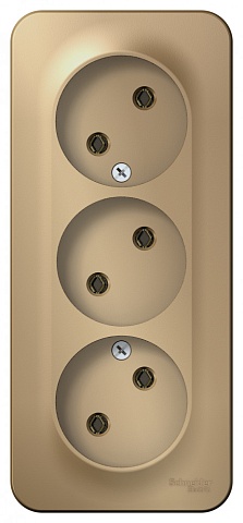 Systeme Electric Blanca наруж Титан Розетка 3-ая б/з без шторок 16А, 250В, изолир. пластина