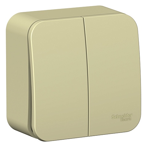Systeme Electric Blanca наруж Беж Выключатель 2-клавишный (cх.5) изолир. пластина 10А, 250B
