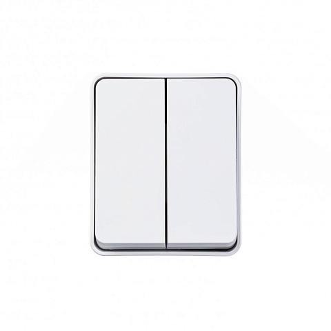 Systeme Electric AtlasDesign Profi54 Наруж Белый Выключатель 2-клавишный 10 АХ IP54