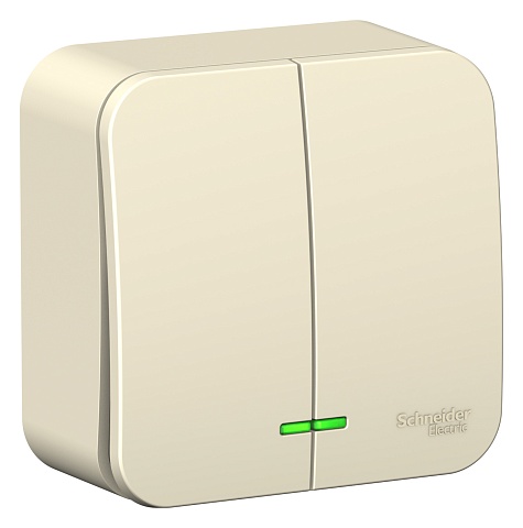 Systeme Electric Blanca наруж Молочный Выключатель 2-клавишный с подсветкой 6А, 250B, изолир. пластина