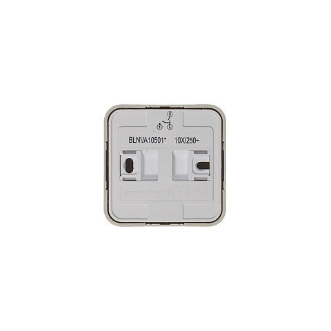 Systeme Electric Blanca наруж Беж Выключатель 2-клавишный (cх.5) изолир. пластина 10А, 250B