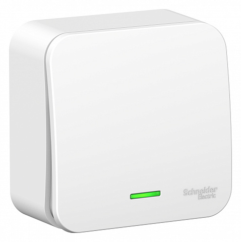Systeme Electric Blanca наруж Бел Выключатель 1-клавишный с подсветкой, 10А, 250B, монтажная пластина