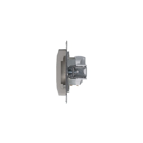 Systeme Electric Glossa Платина Розетка с/з