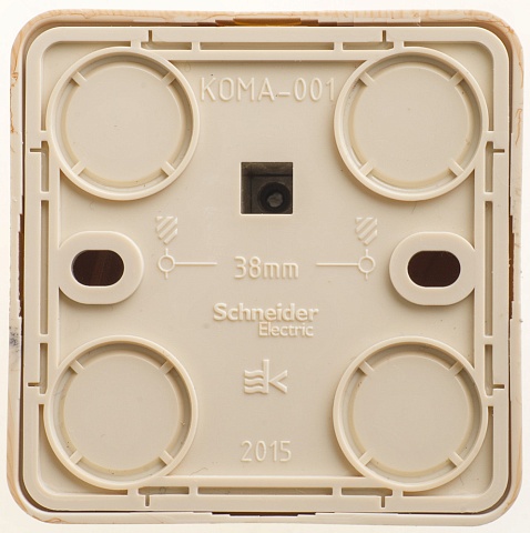 Systeme Electric Этюд наруж Сосна Розетка компьютерная RJ45 кат.5E