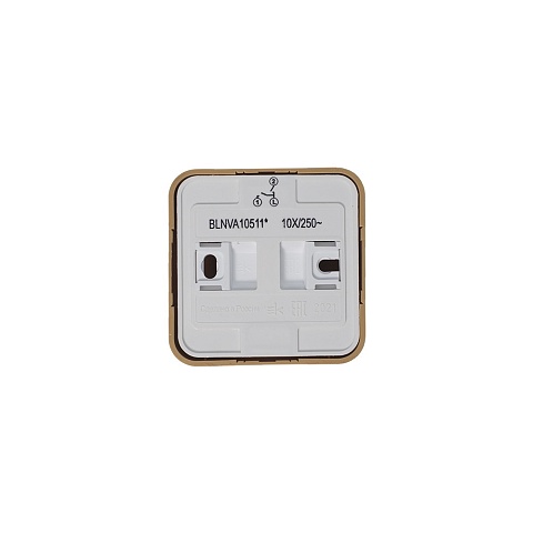 Systeme Electric Blanca наруж Ясень Выключатель 2-клавишный с подсветкой 10А,250B, изолир. пластина