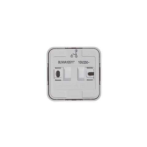 Systeme Electric Blanca наруж Бел Выключатель 2-клавишный с подсветкой 10А, 250B, изолир. пластина