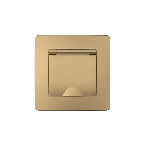 Systeme Electric Blanca внутр Титан Розетка с/з IP44 со шторками, с крышкой, 16А, 250В