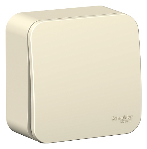 Systeme Electric Blanca наруж Молочный Переключатель 1-клавишный 10А, 250B, изолир. пластина