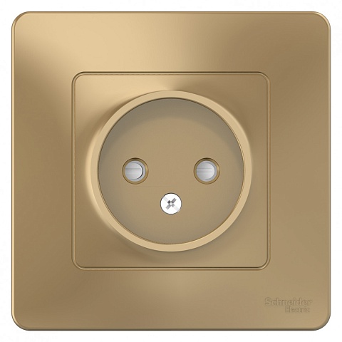 Systeme Electric Blanca внутр Титан Розетка б/з со шторками, 16А, 250В