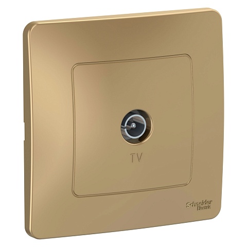 Systeme Electric Blanca внутр Титан Розетка TV